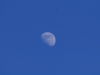 IMGP6705