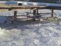 IMG-20150208-WA0007