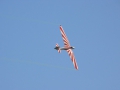 P1170953