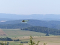 image017