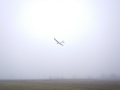 DSCN2142